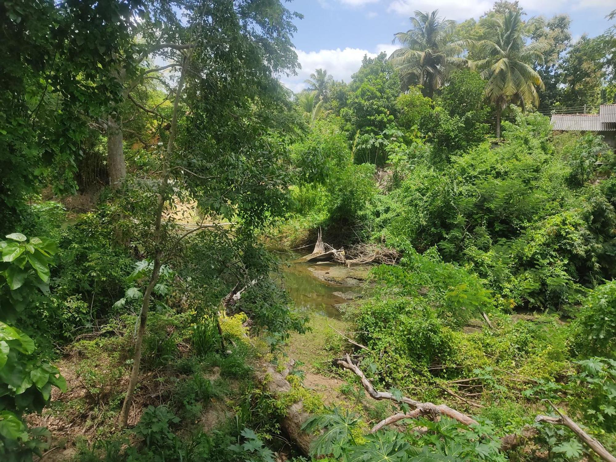 Готель Yala Shenu Safari Tours Тіссамахарама Екстер'єр фото